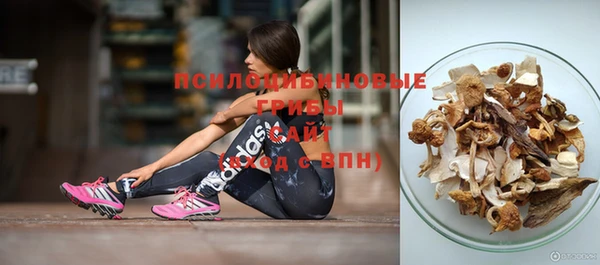 винт Елизово