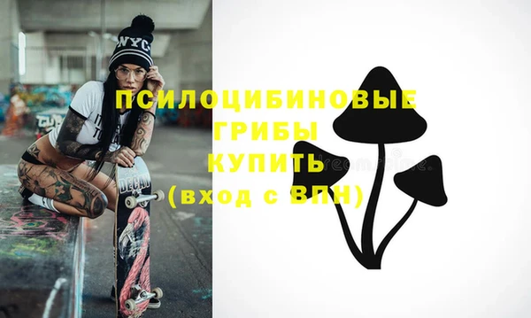 соль ск Елабуга