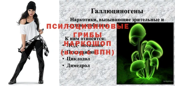 соль ск Елабуга