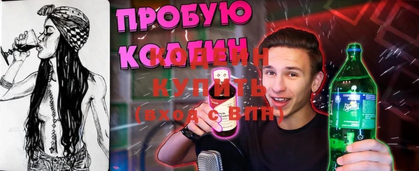 соль ск Елабуга