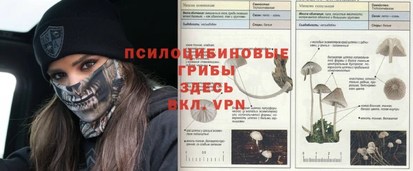 MDMA Premium VHQ Ельня